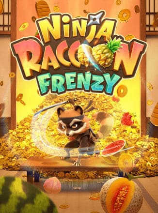 PGS_Ninja Raccoon Frenzy